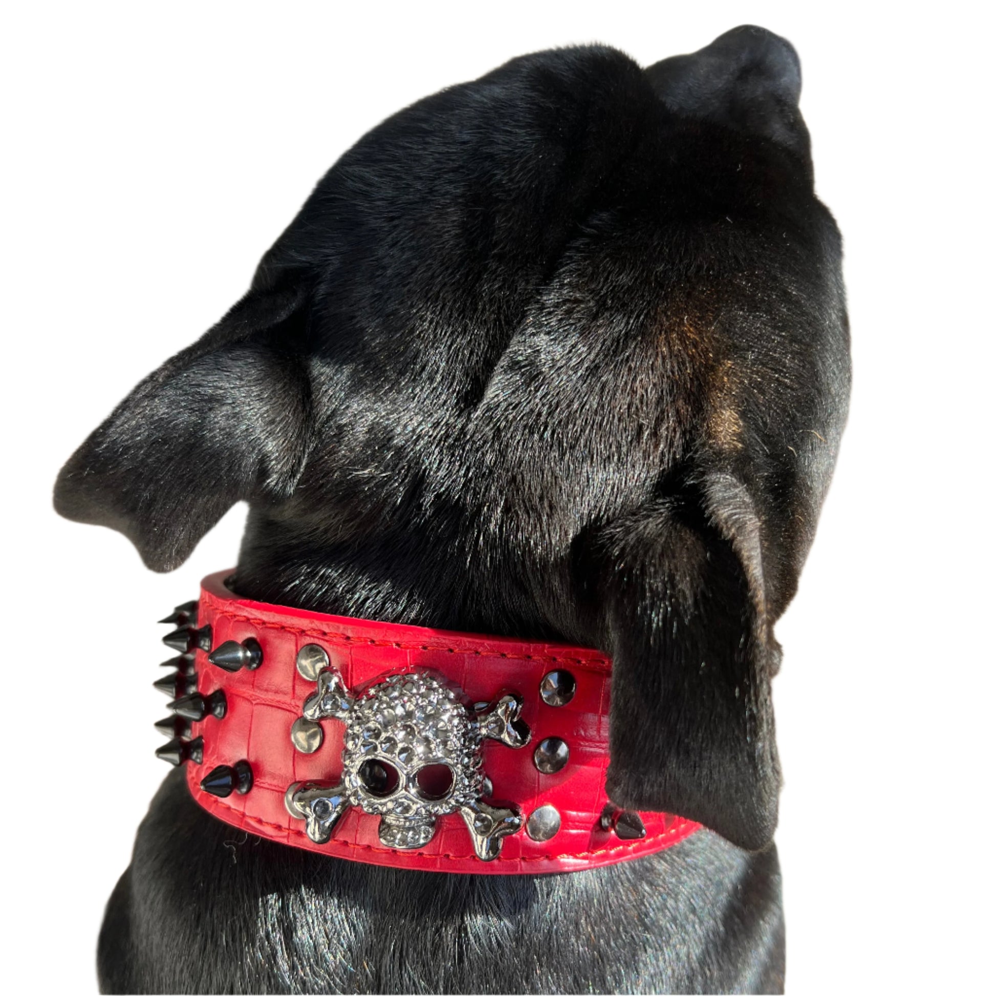 Large Dog Breeds, Leather Collar, Mastiff, Rottweiler, German Shepherd Leather Collar