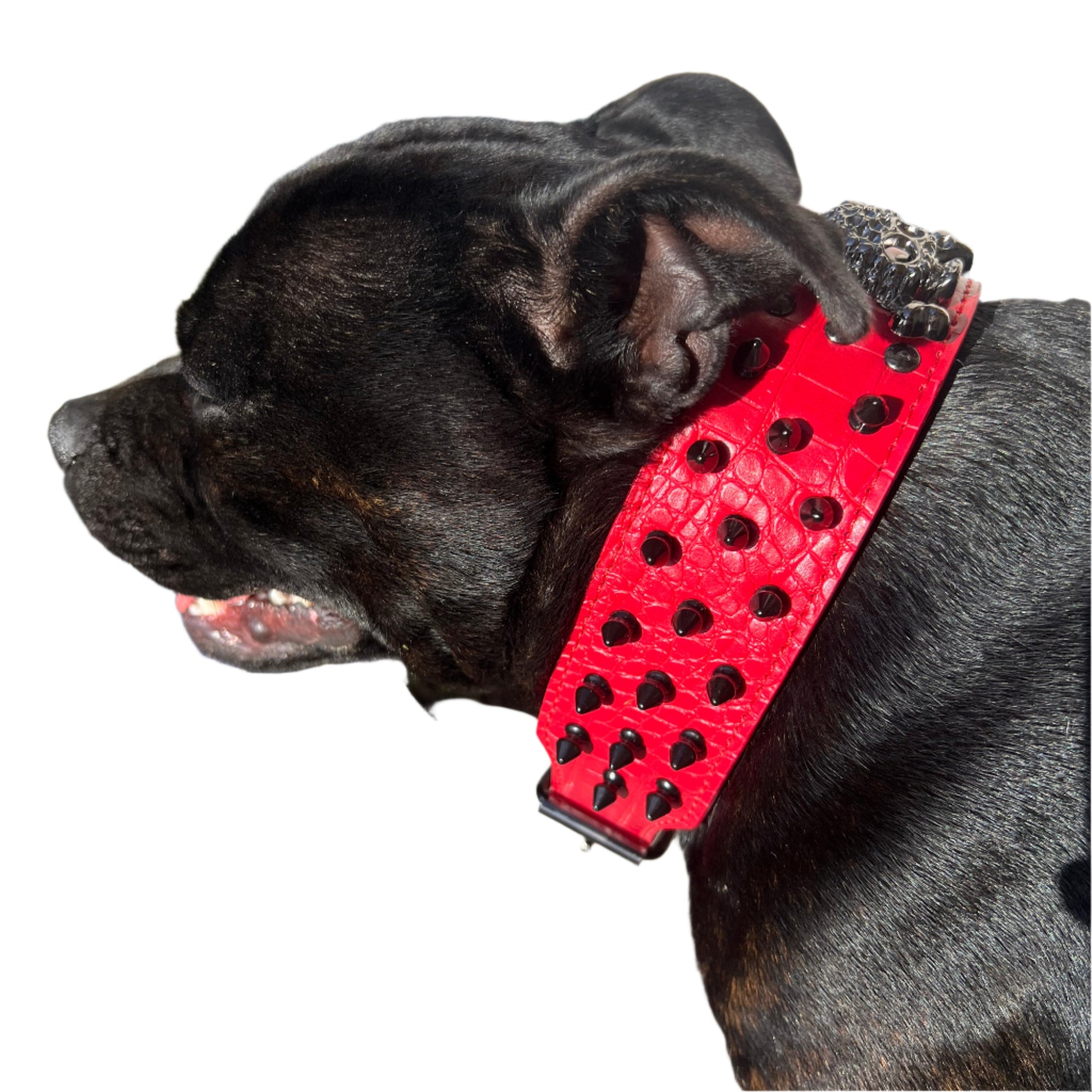 Large Dog Breeds, Leather Collar, Mastiff, Rottweiler, German Shepherd Leather Collar