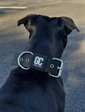 Grace Canine Core Collar