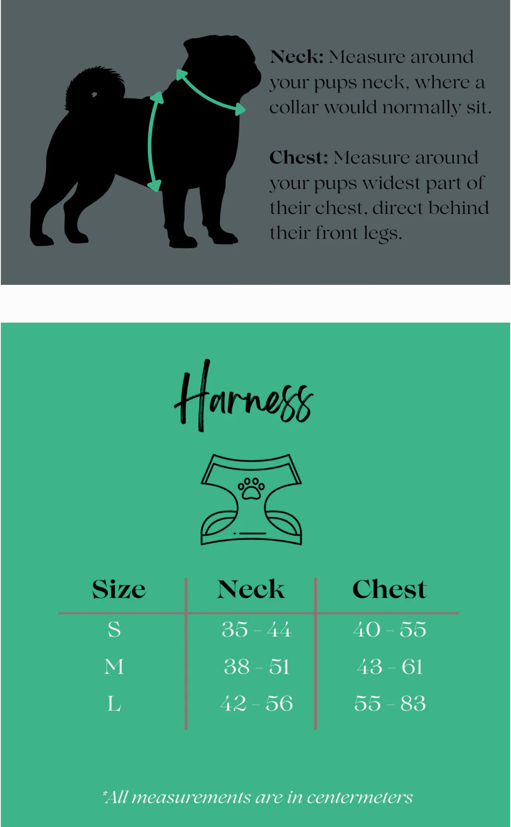 Adjustable Dog Harness - Strawberry Field