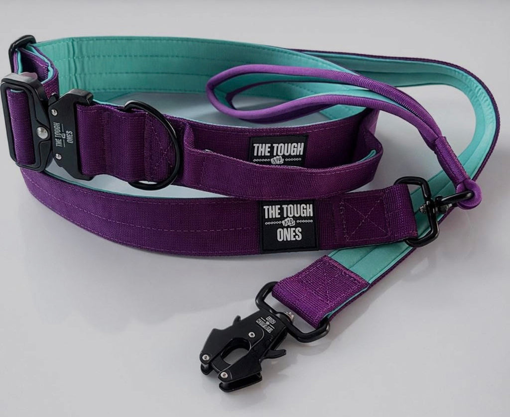 The Tough Ones™ Plum & Mint Tactical Dog Collar with Handle
