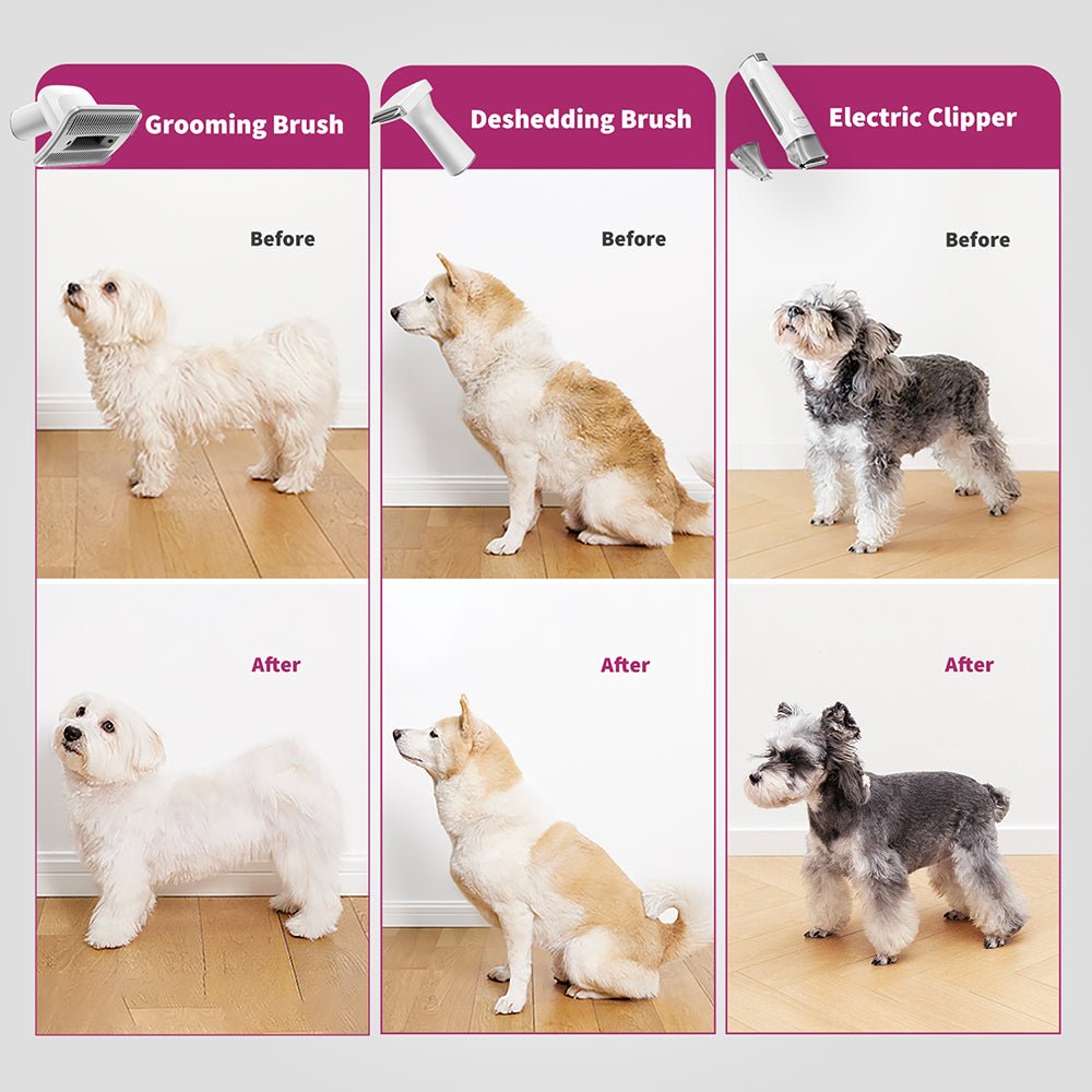 PETKIT 5-in-1 Pet Grooming Kit (AirClipper)