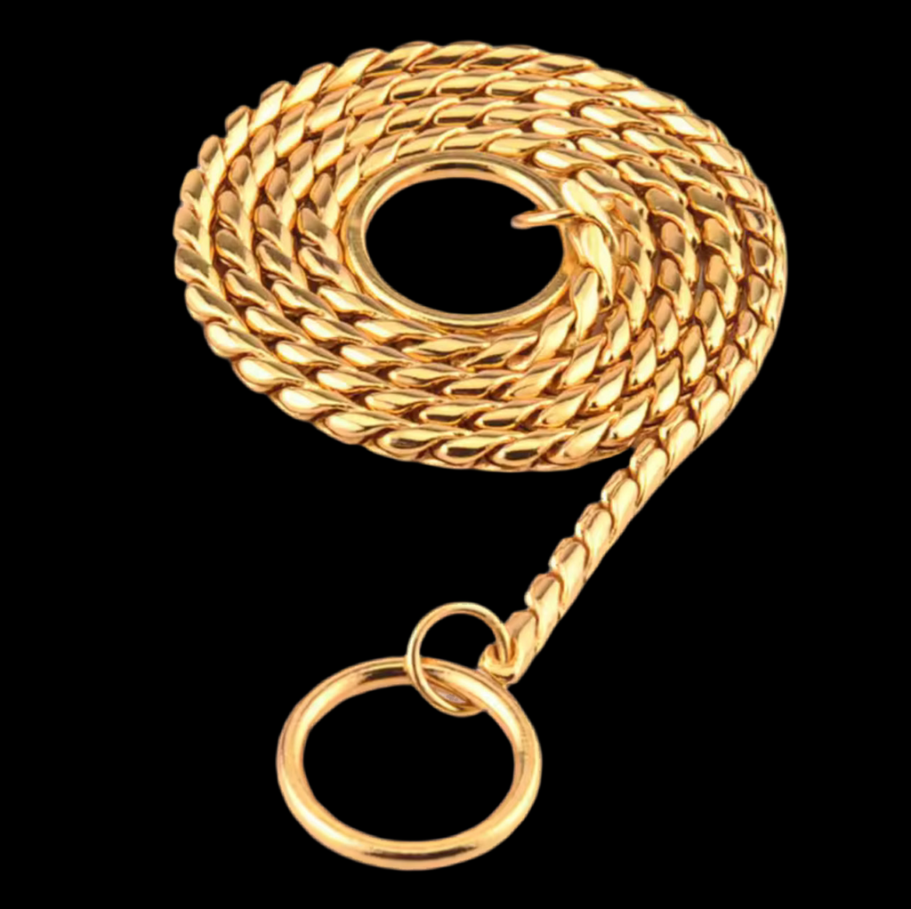 Stainless Steel Gold Snake Chain Dog Collar