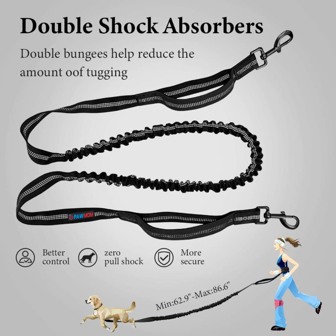 Hands Free Dog Running Waist Leash for Running