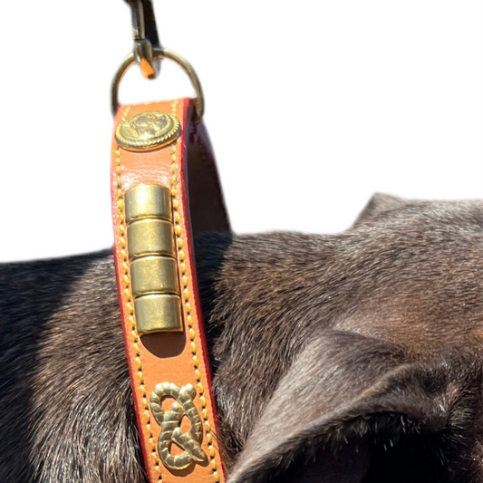 Staffy, Staffordshire Bull Terrier, SBT, Show Collar, Staffie, Leather Collar