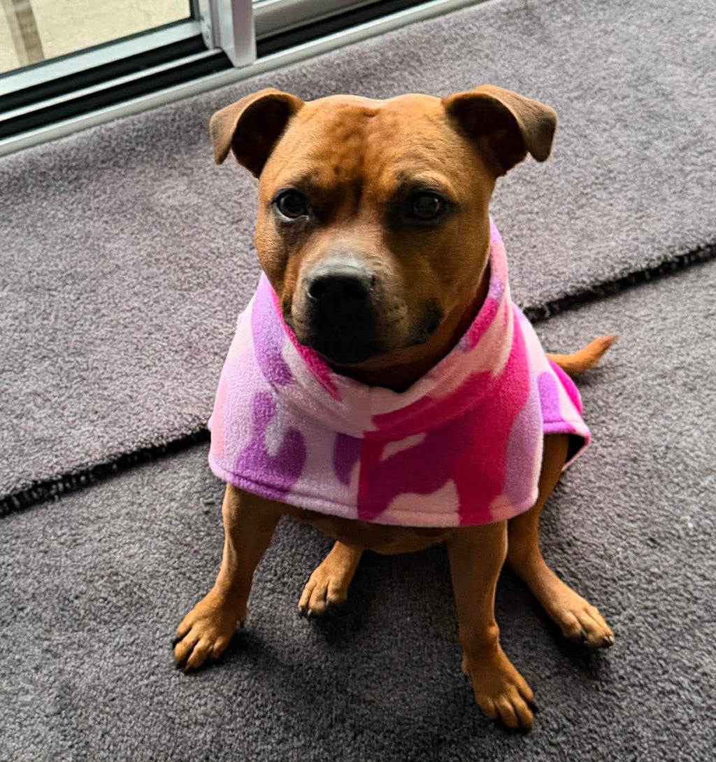 Staffordshire Bull Terrier Fleece Coat | XXS–3XL | 10 Colours | Handmade in NZ