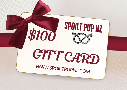 $100 e-Gift Card