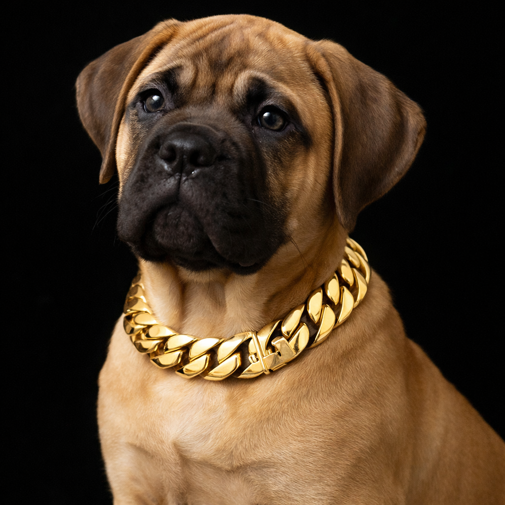 19mm Gold Cuban Link Necklace | 55cm Stainless Steel Dog Show Necklace | Dual Lock Buckle | The Tough Ones™