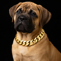 19mm Gold Cuban Link Necklace | 55cm Stainless Steel Dog Show Necklace | Dual Lock Buckle | The Tough Ones™