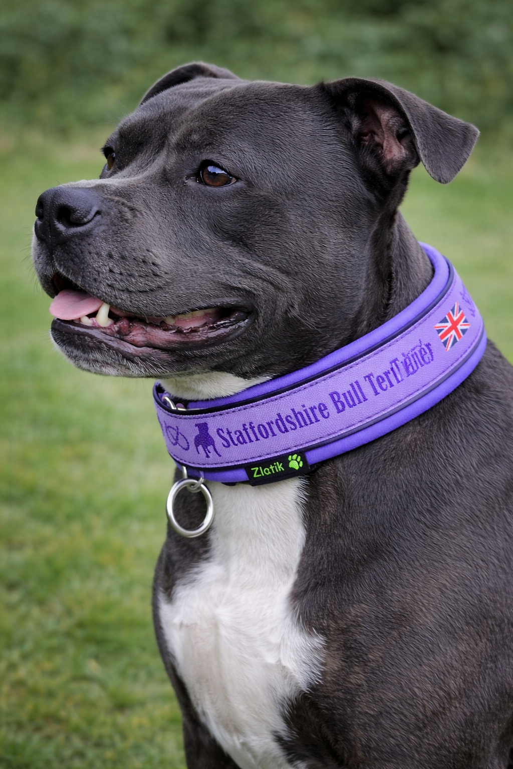 Lilac Soft Martingale Collar