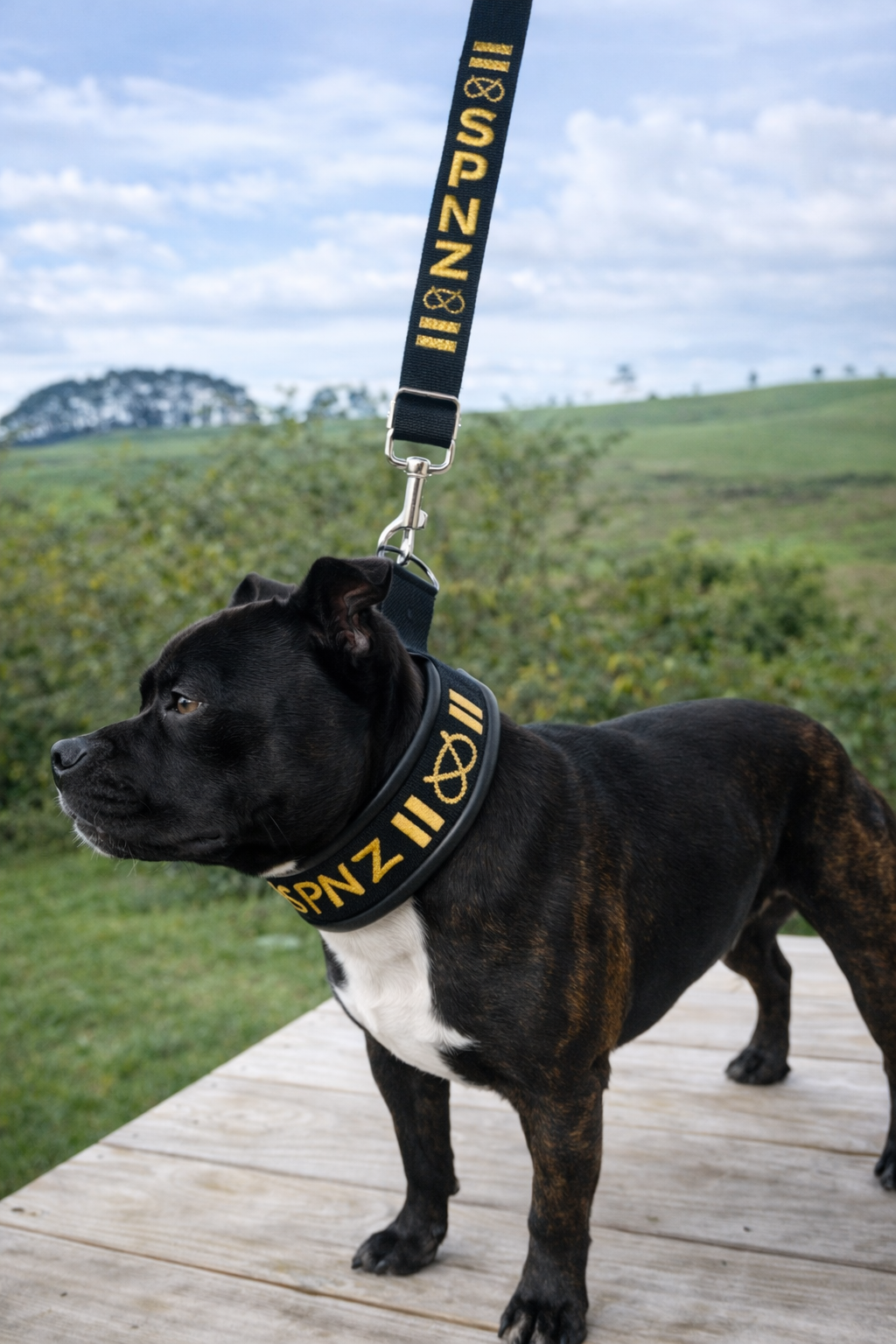Lamb Skin Soft Martingale Collar & Leash Set