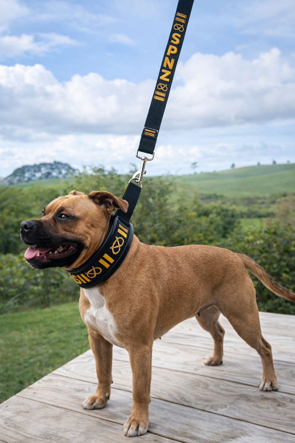 Lamb Skin Soft Martingale Collar & Leash Set
