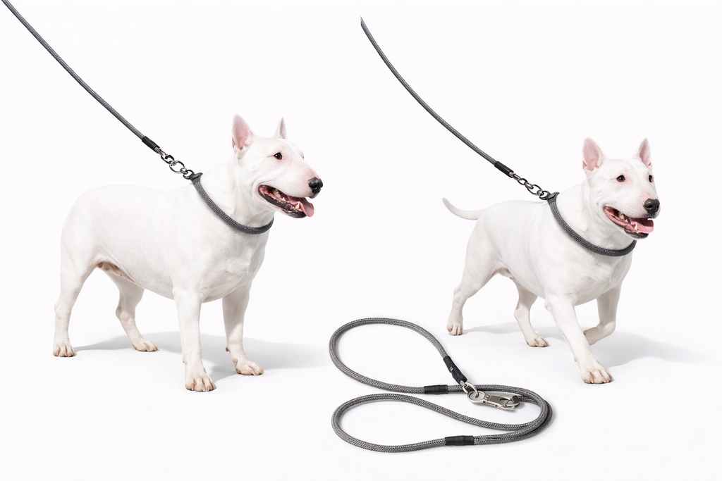 STRONG Graphite Slip Collar & Leash Set