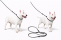 STRONG Graphite Slip Collar & Leash Set