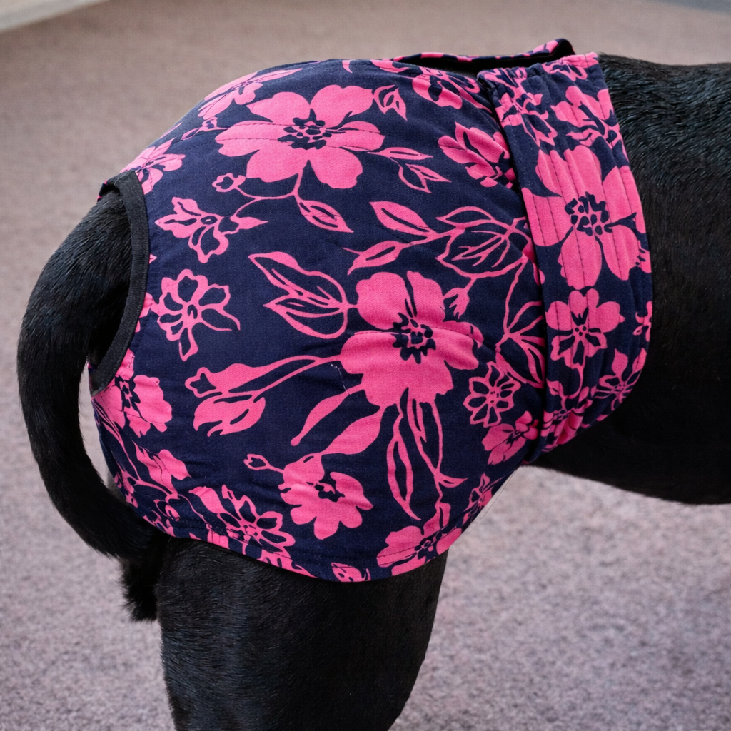 Staffordshire Bull Terrier B!tch Pants – Heat Protection Made Easy