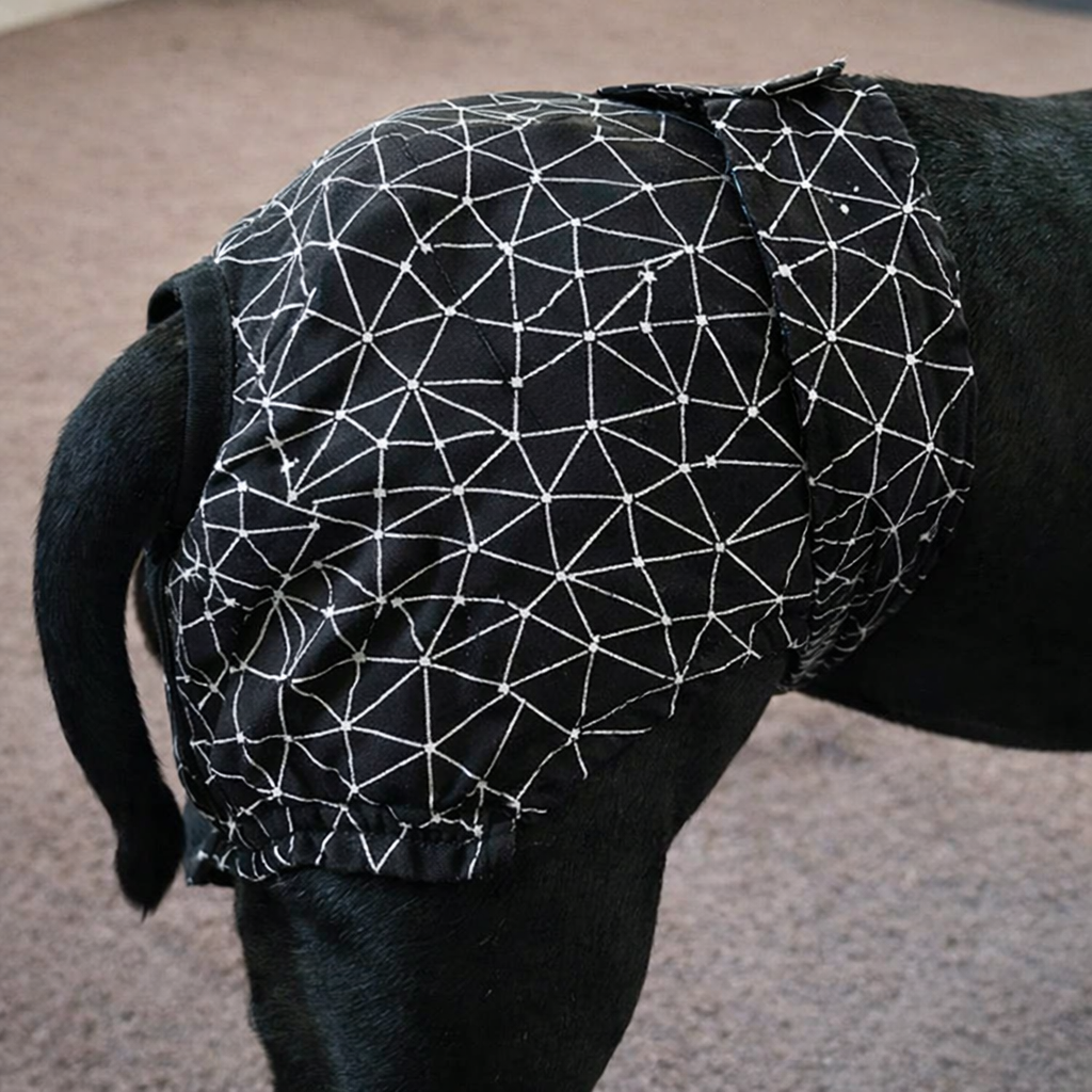 Staffordshire Bull Terrier B!tch Pants – Heat Protection Made Easy