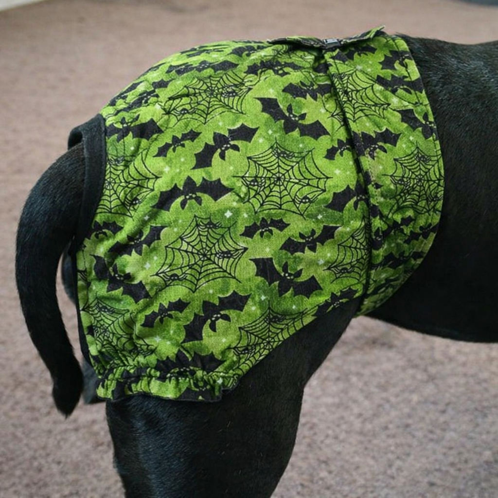 Staffordshire Bull Terrier B!tch Pants – Heat Protection Made Easy