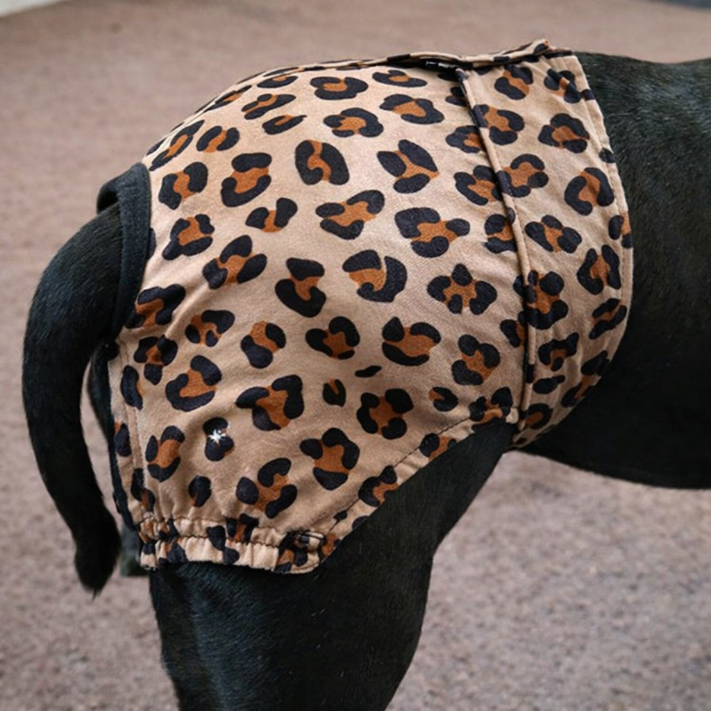 Staffordshire Bull Terrier B!tch Pants – Heat Protection Made Easy