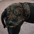 Staffordshire Bull Terrier B!tch Pants – Heat Protection Made Easy