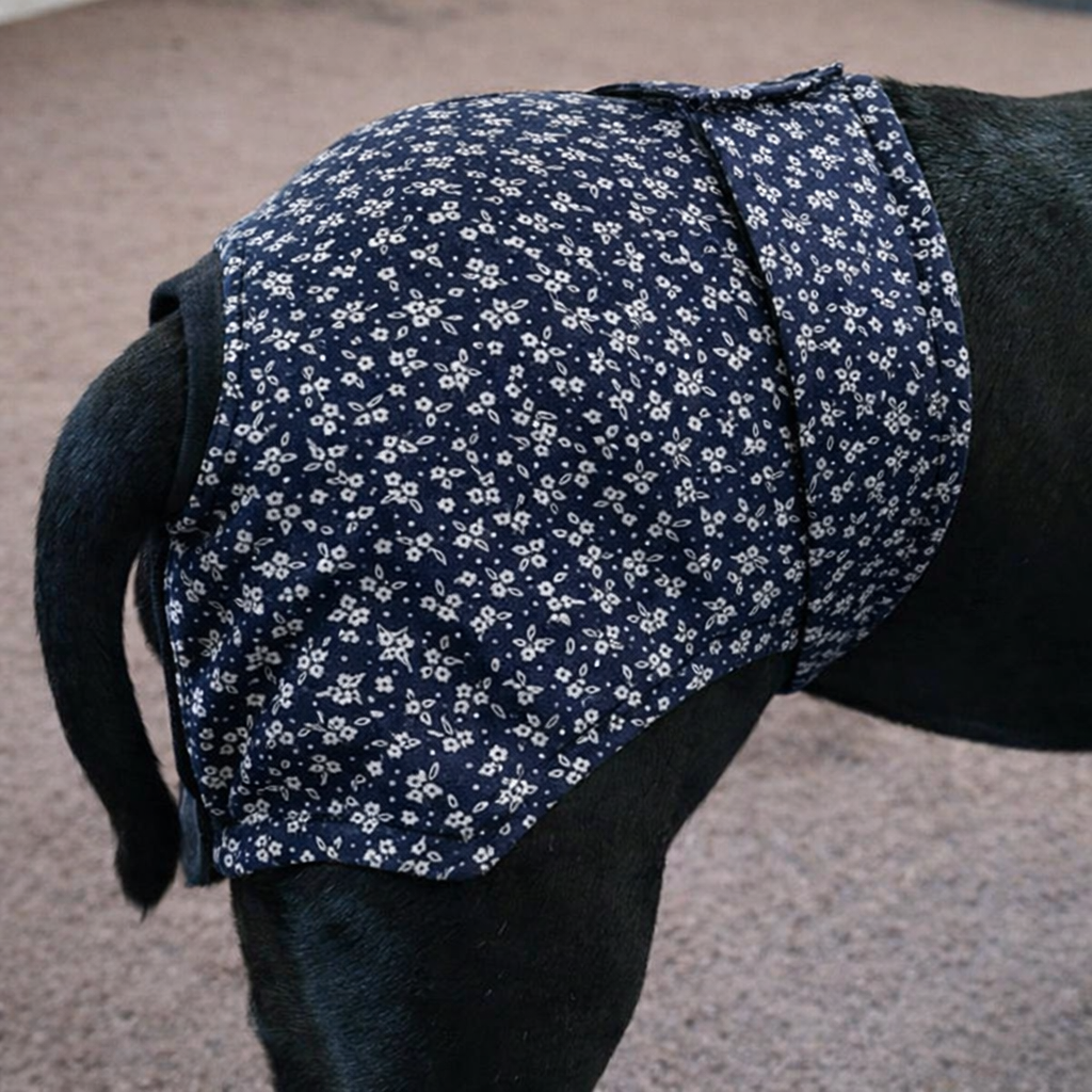 Staffordshire Bull Terrier B!tch Pants – Heat Protection Made Easy