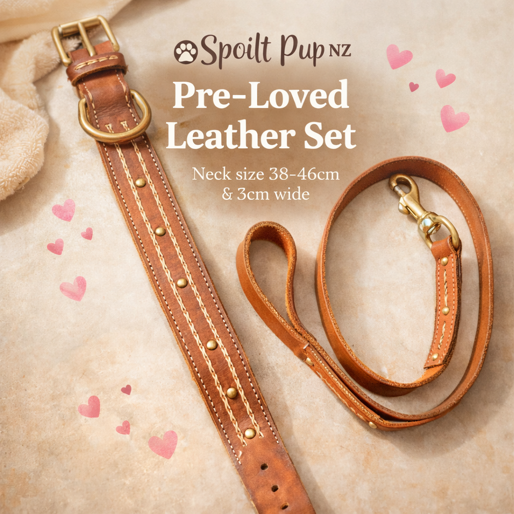 Pre-Loved Leather Dog Collar & Leash Set – Adjustable 38–46cm | 3cm Wide