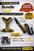 Stafford Bundle Set – Harness, Martingale & Matching Leash