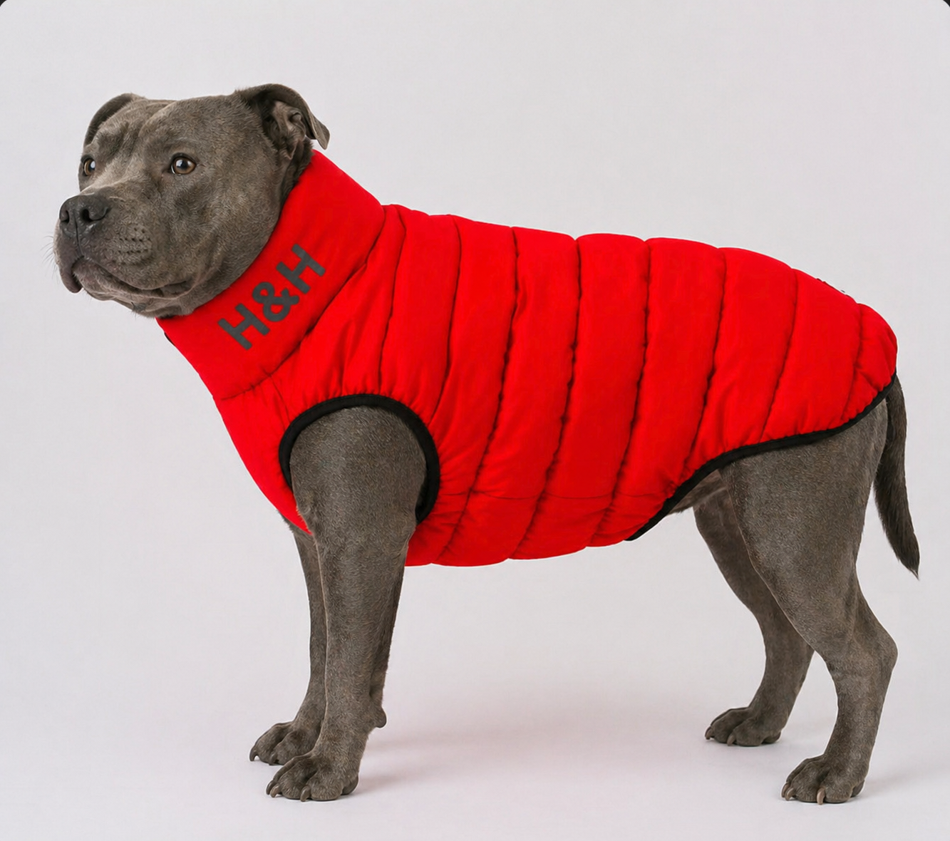 Hugo & Hudson London Red/Blue, Reversible Puffer Jacket – M47 (Sample Stock)