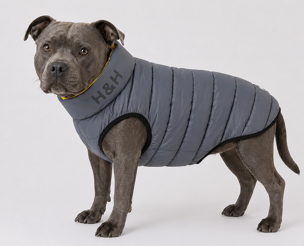 Hugo & Hudson London Yellow/Grey, Reversible Puffer Jacket – M47 (Sample Stock)