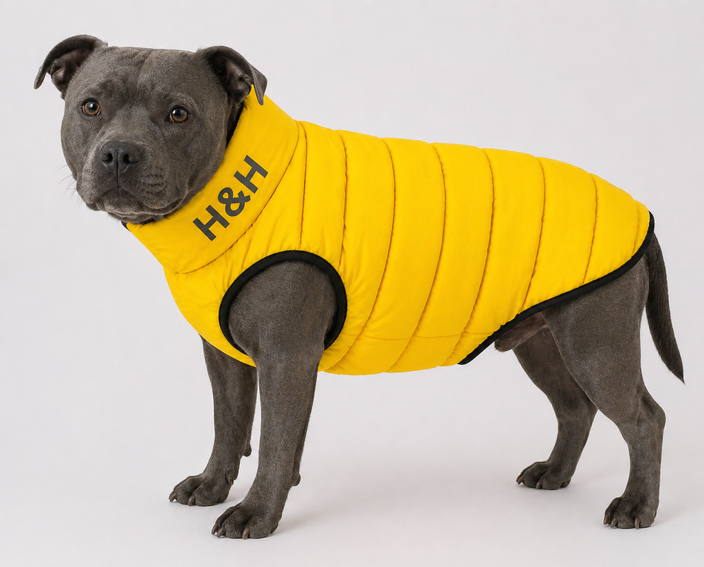 Hugo & Hudson London Yellow/Grey, Reversible Puffer Jacket – M47 (Sample Stock)