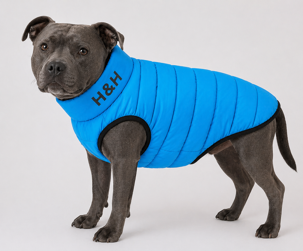 Hugo & Hudson London Light Blue/Grey, Reversible Puffer Jacket – M47 (Sample Stock)
