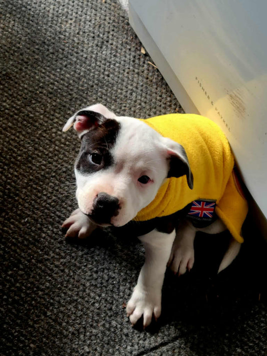 Puppy Fleece Coat - Yellow