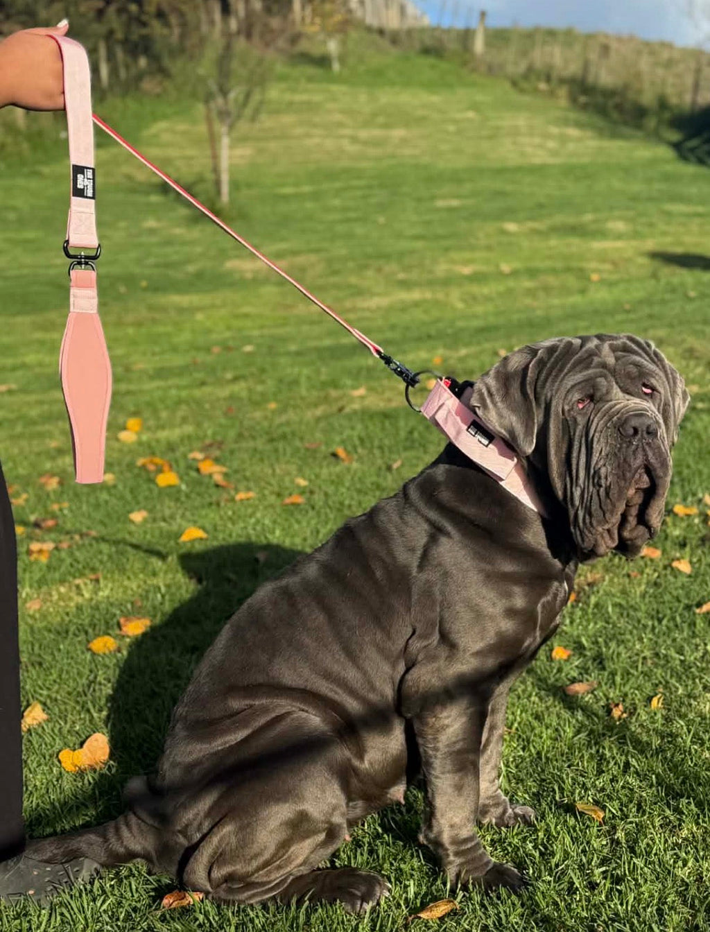 The Tough Ones™ Bubblegum & Cherry Tactical Dog Collar & Matching Leash Set