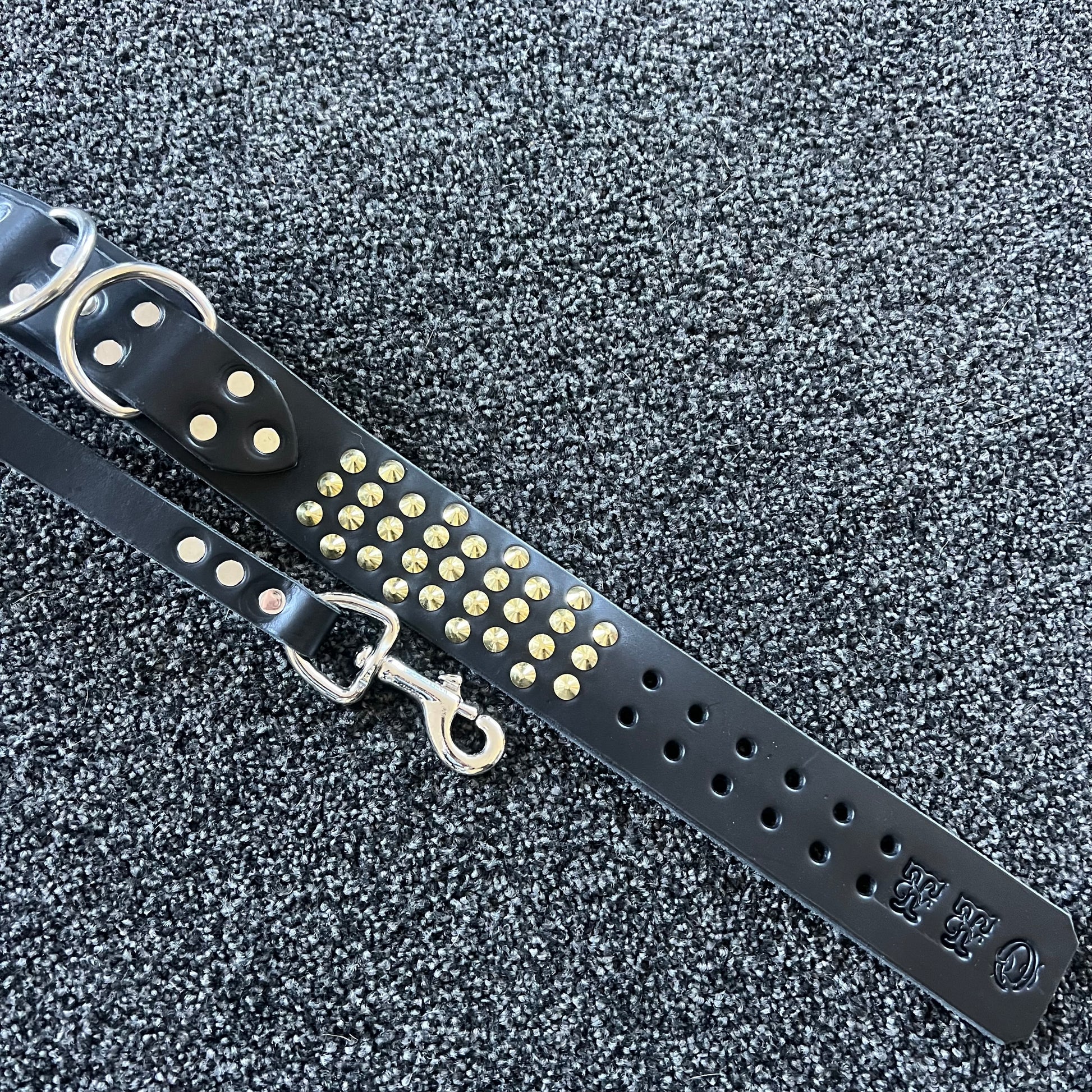 Black leather dog collar with gold studs on a textured black background