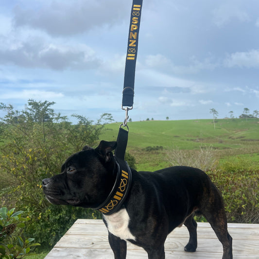 Staffy, Staffordshire Bull Terrier, SBT, Show Collar, Staffie, Martingales, Lamb Skin Martingale, Soft martingale