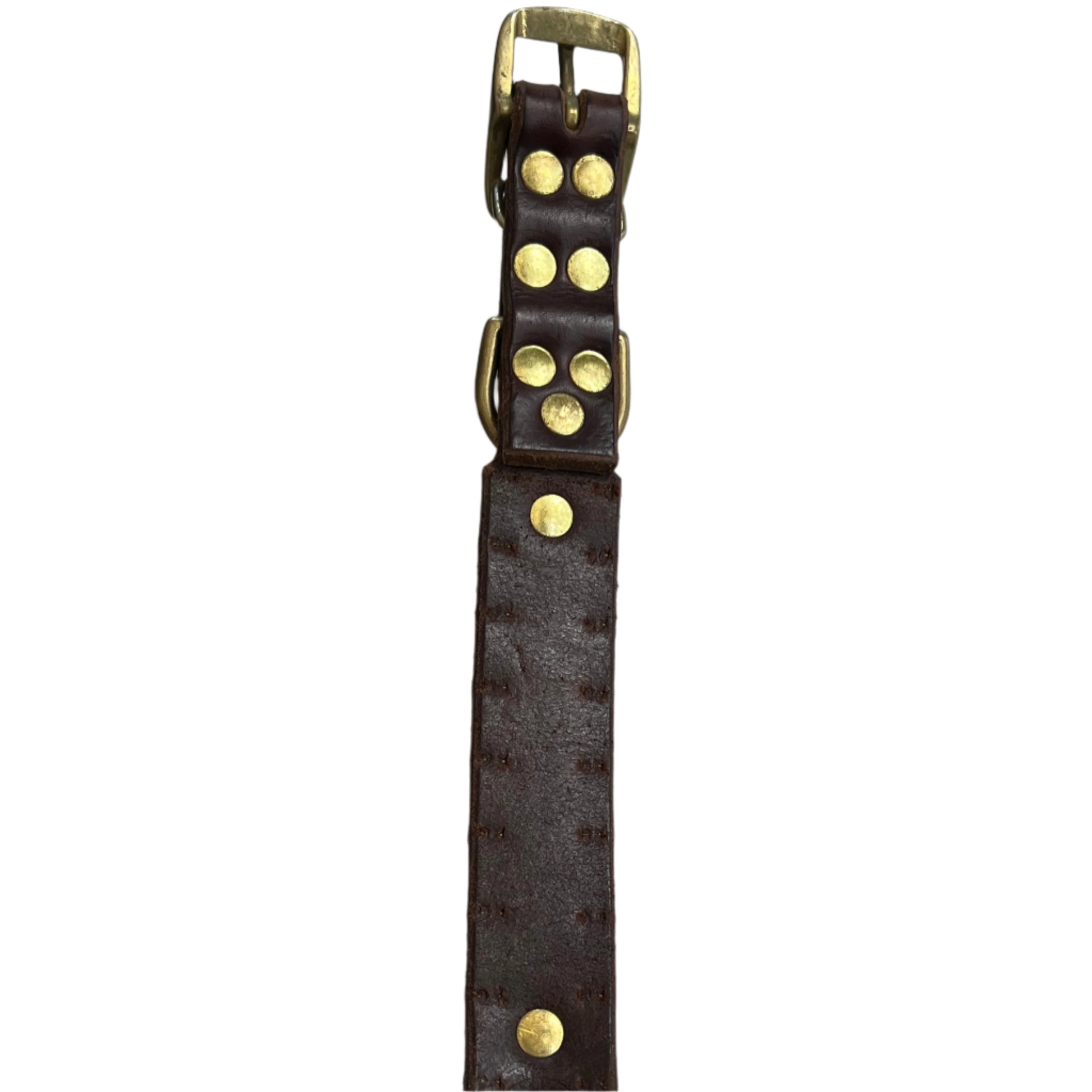 Staffy, Staffordshire Bull Terrier, SBT, Show Collar, Staffie, Leather Collar