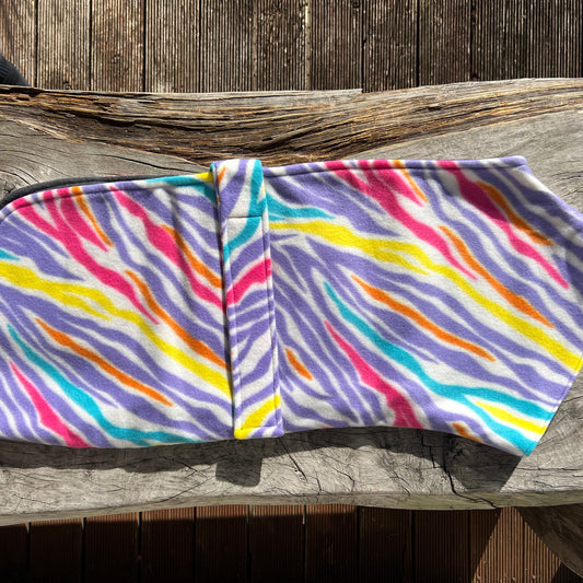 Staffy, staffie, Staffordshire bull terrier, dog, dogs, dog lovers, show dogs, SBT, Show Collar, Staffie, snuggie coats