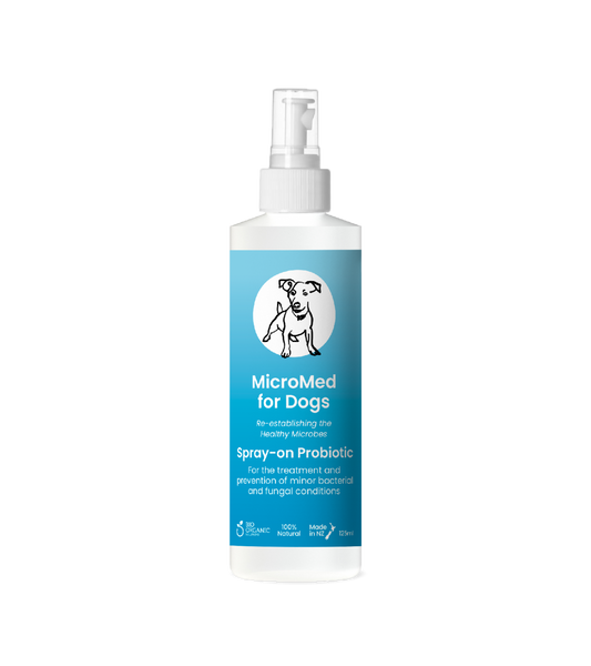 MicroMed for Dogs Acute Care