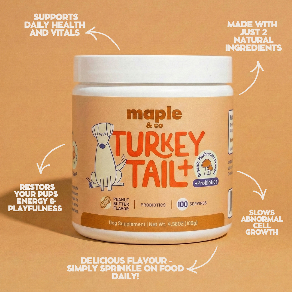 Maple&Co Turkey Tail+ Formula