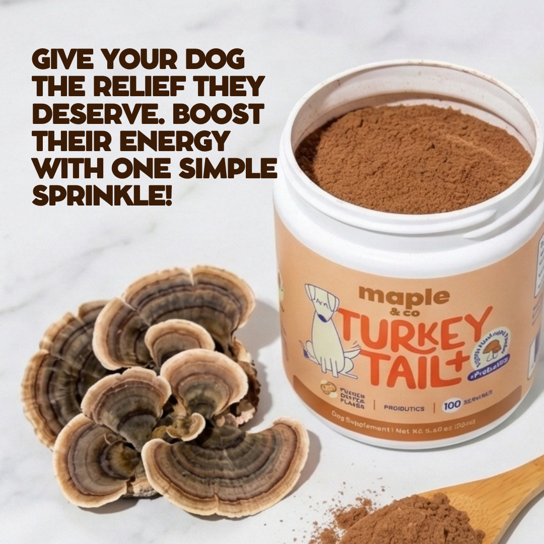 Maple&Co Turkey Tail+ Formula