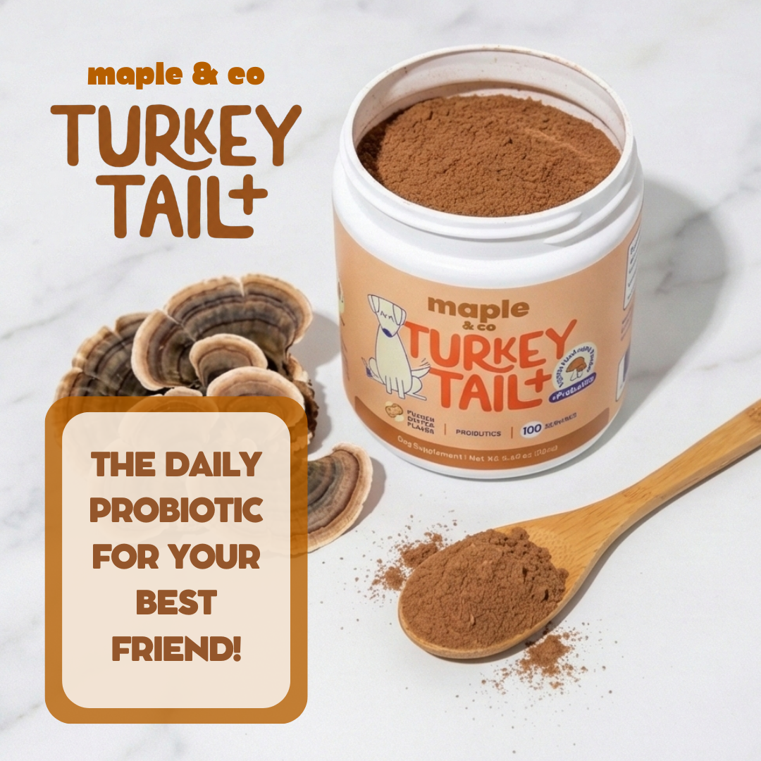 Maple&Co Turkey Tail+ Formula