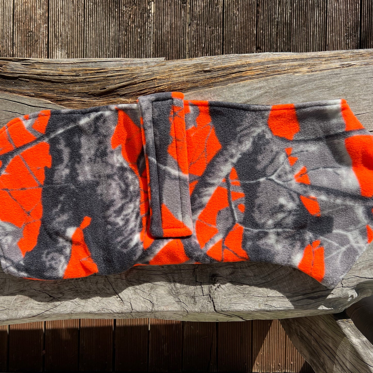 Staffy, staffie, Staffordshire bull terrier, dog, dogs, dog lovers, show dogs, SBT, Show Collar, Staffie, snuggie coats