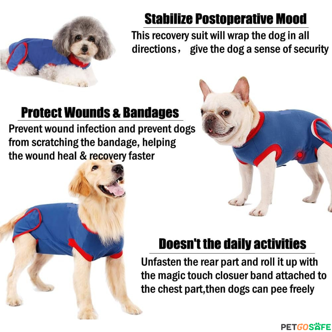 Pet Recovery Suit After Surgery Wear, Soft Pet Medical Surgical Cloth