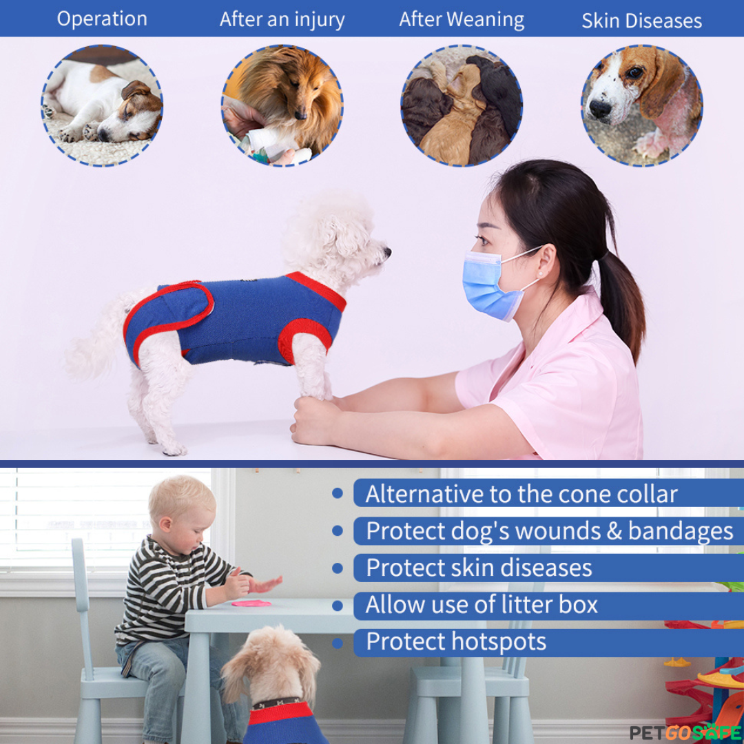 Pet Recovery Suit After Surgery Wear, Soft Pet Medical Surgical Cloth