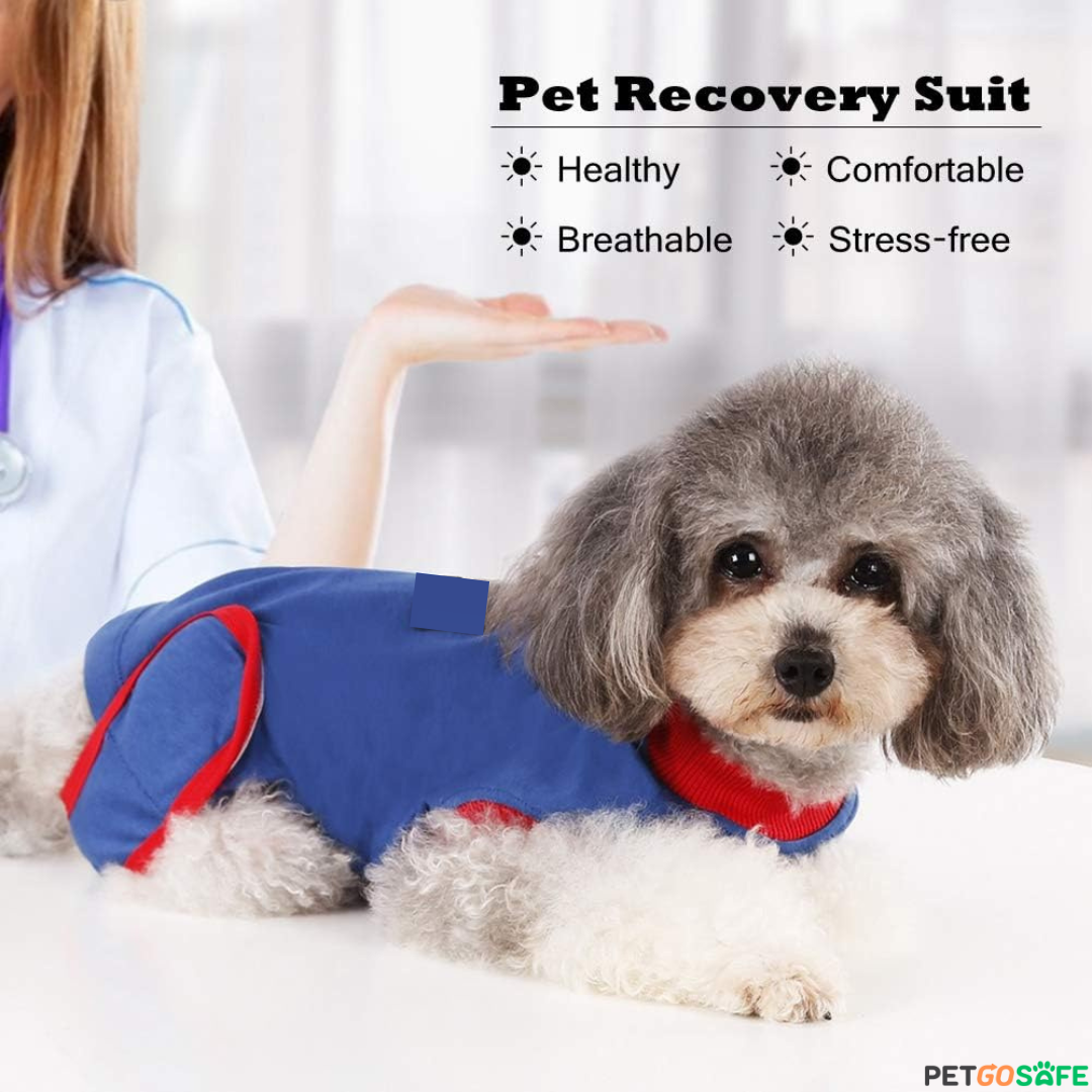 Pet Recovery Suit After Surgery Wear, Soft Pet Medical Surgical Cloth