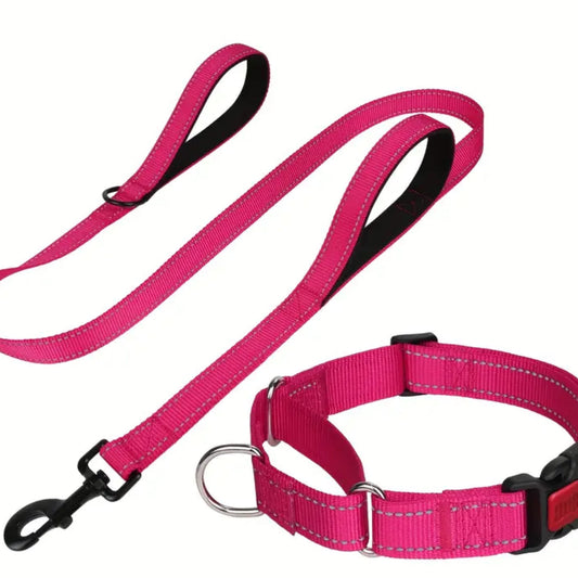 Staffy, Staffordshire Bull Terrier, SBT, Show Collar, Staffie, Nylon collar & leash, nylon collar and leash reflective, martingale nylon collar & leash