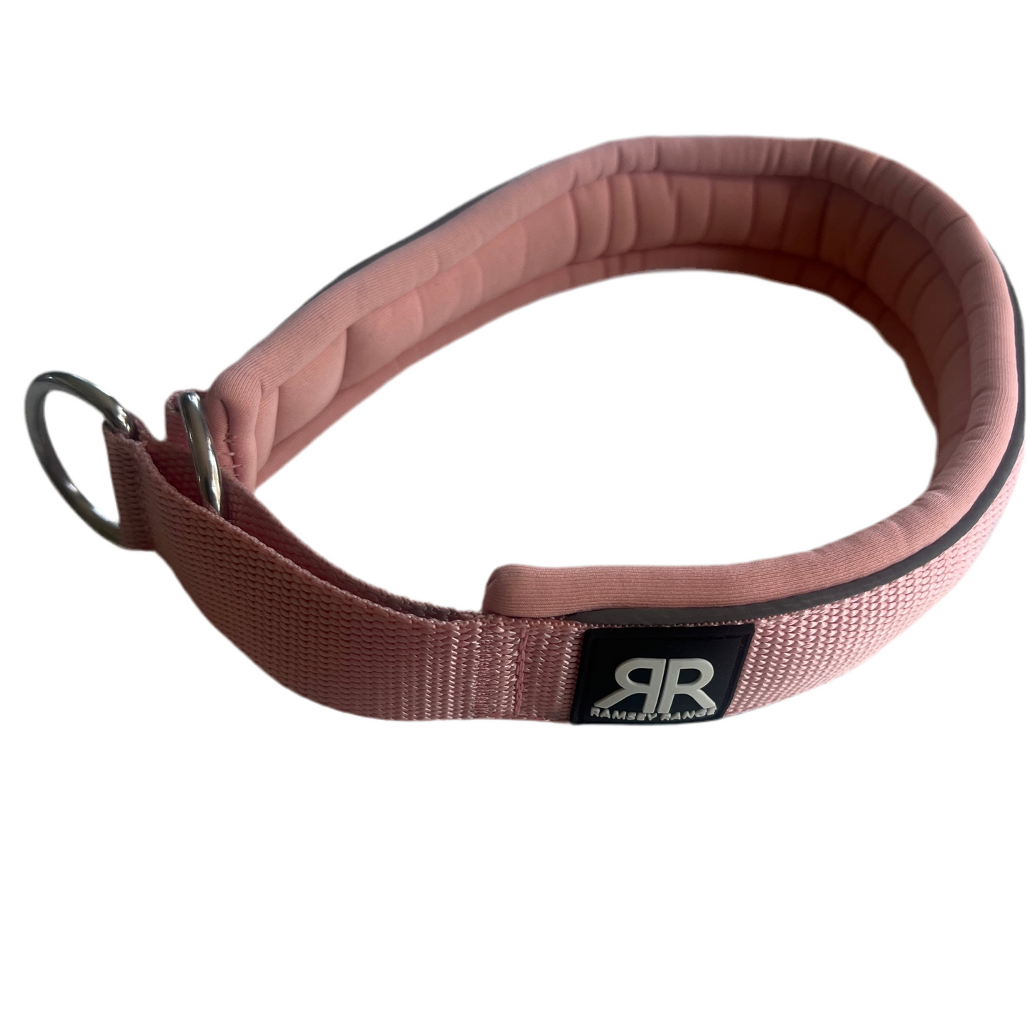 Staffy, Staffordshire Bull Terrier, SBT, Show Collar, Staffie, Soft Martingale Collar