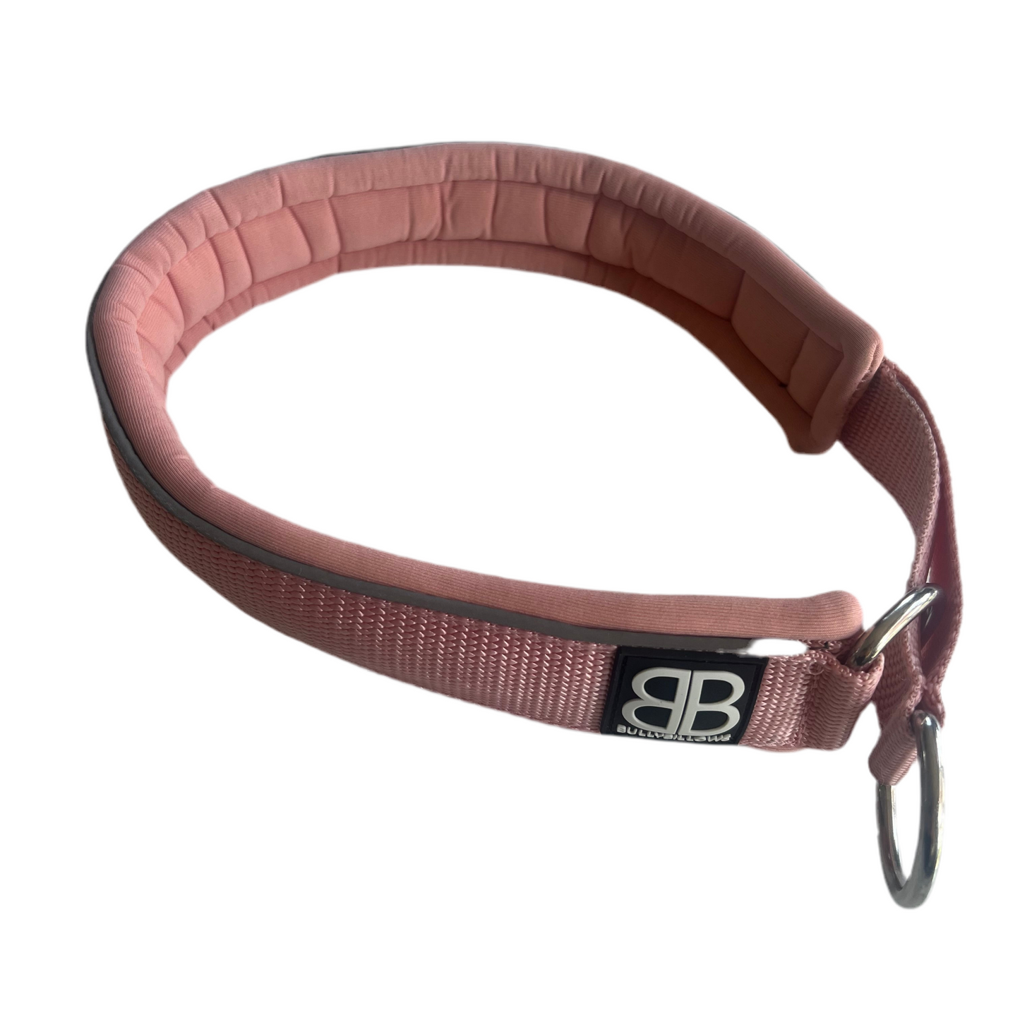 Staffy, Staffordshire Bull Terrier, SBT, Show Collar, Staffie, Soft Martingale Collar