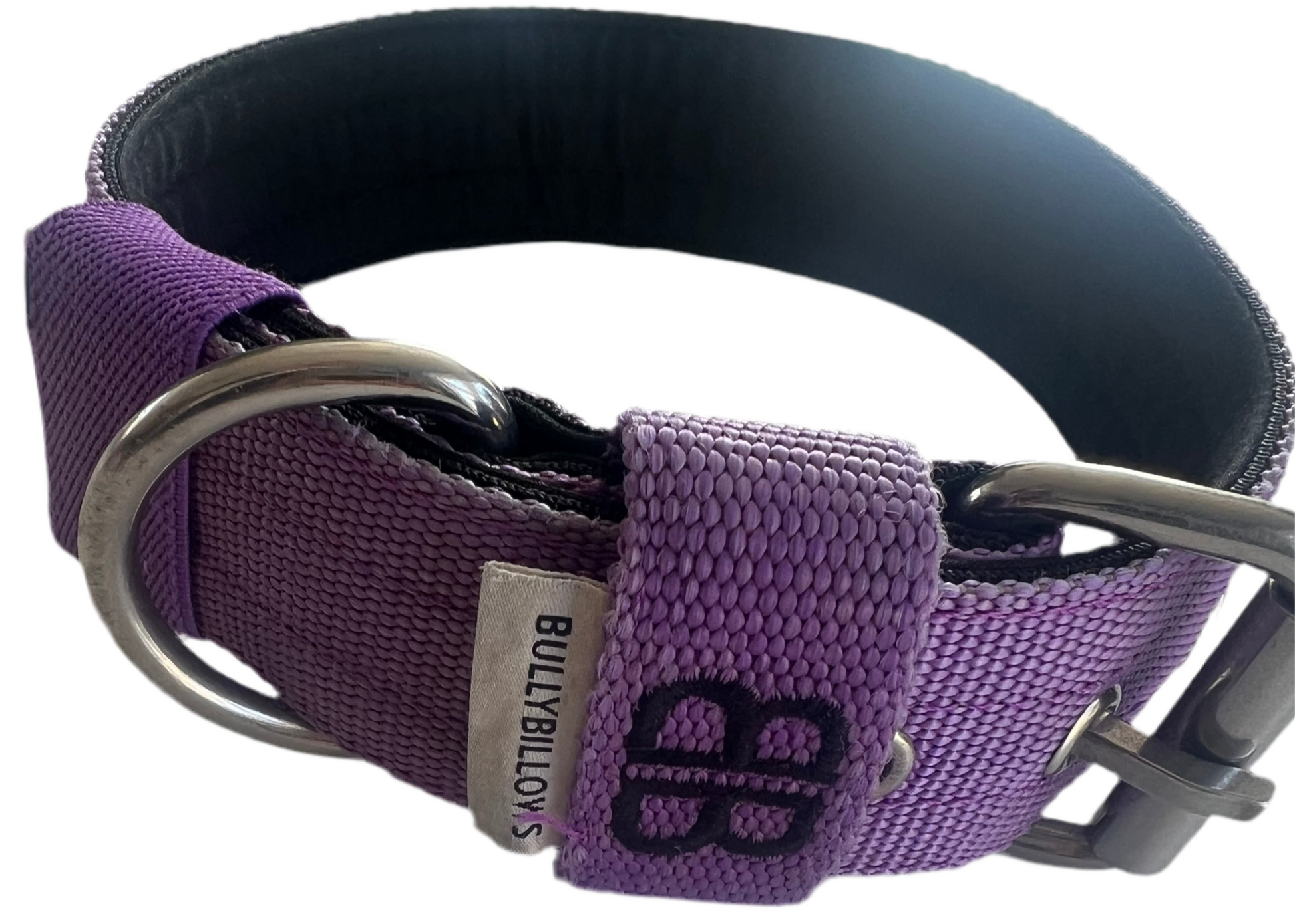 Staffy, Staffordshire Bull Terrier, SBT, Show Collar, Staffie, Nylon Collar