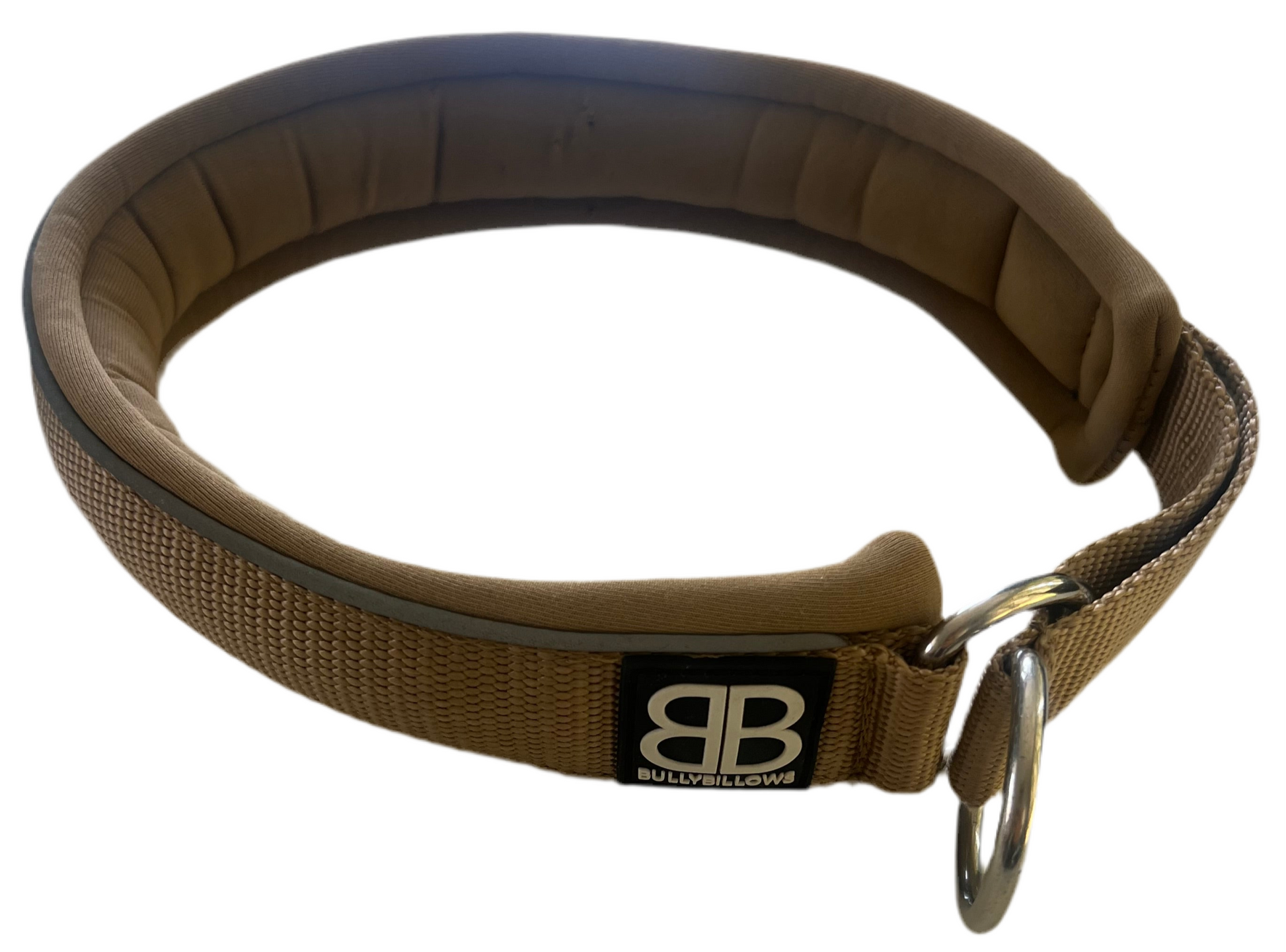 Staffy, Staffordshire Bull Terrier, SBT, Show Collar, Staffie, Soft Martingale