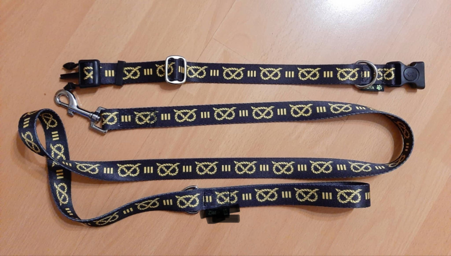 Staffy, Staffordshire Bull Terrier, SBT, Show Collar, Staffie, Puppy Collar and leash set